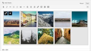 La galería en el editor de WordPress